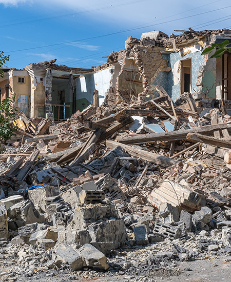 Los terremotos y las plagas